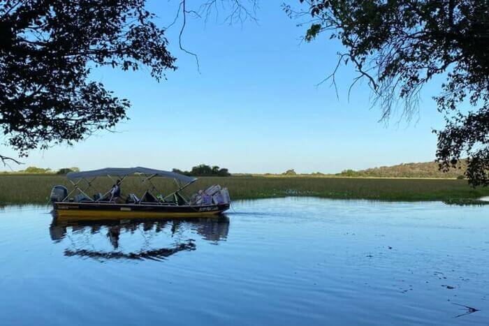 Projetos sustentáveis no Brasil - Pantanal